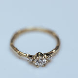 White diamonds tristone branch ring