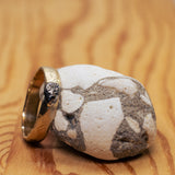 Faceted ring with meteorite