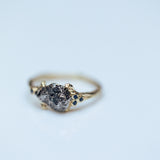 Spreading branch ring with meteorite and sapphires