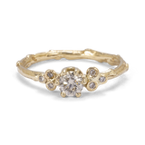 Symmetric Branch Ring with Champagne Diamonds