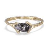 Spreading Branch Ring with Meteorite
