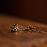 Gold meteorite earrings