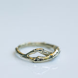 Infinity Branch Ring