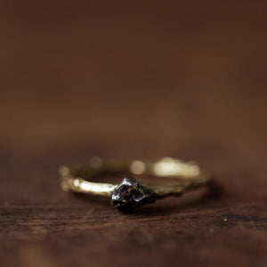 Meteorite solitaire branch ring
