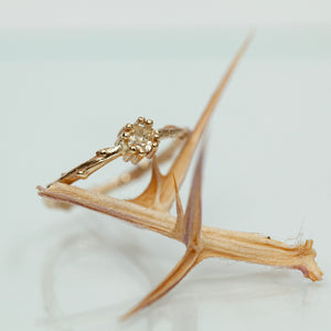 Champagne Branch solitaire ring