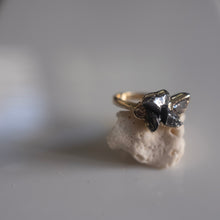 טען תמונה לצפייה בגלריה, Meteorite &amp; Diamonds cluster ring
