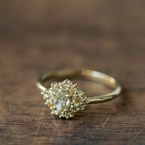 Diana cluster ring with champagne diamonds