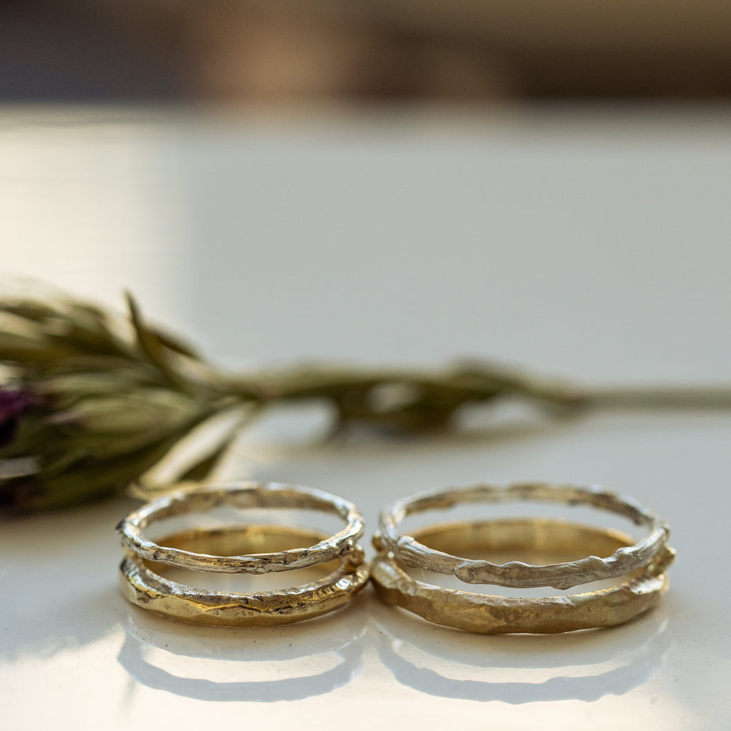 Attached silver and gold rings