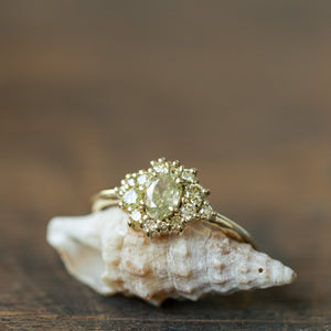 Diana cluster ring with champagne diamonds
