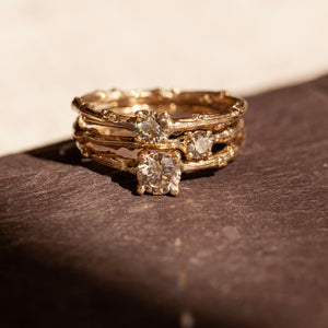 Champagne trio branch rings