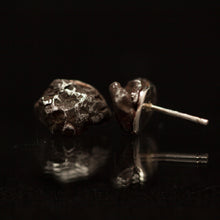 Load image into Gallery viewer, Meteorite earrings
