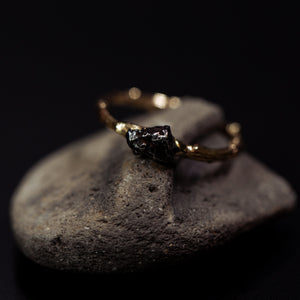 Meteorite branch ring
