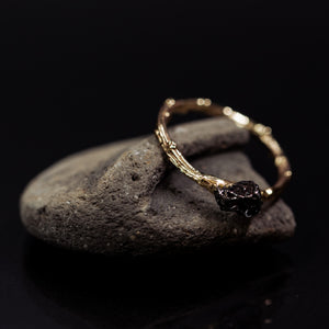 Meteorite branch ring