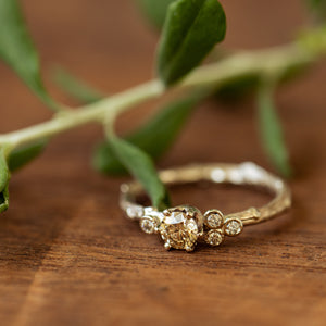 Champagne asymmetric cluster ring