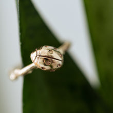 Load image into Gallery viewer, Beetle branch gold ring
