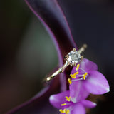 Diamond branch ring