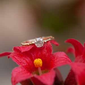 Solitaire branch ring