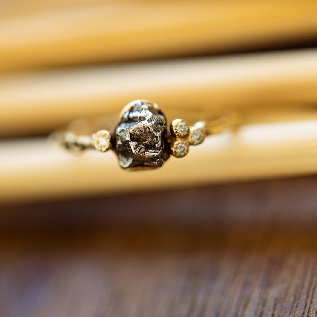 Branch ring with meteorite and small diamonds