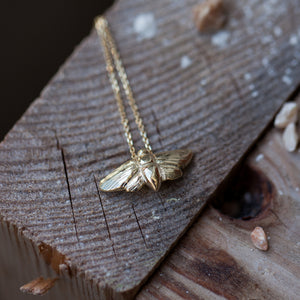 Small 14k gold Moth necklace