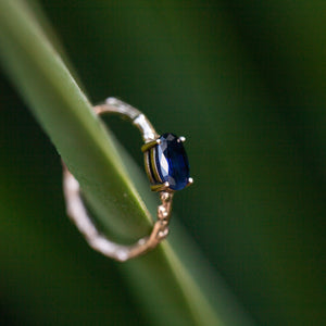 Sapphire Branch solitaire ring