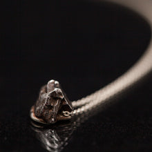 Load image into Gallery viewer, Silver meteorite Necklace

