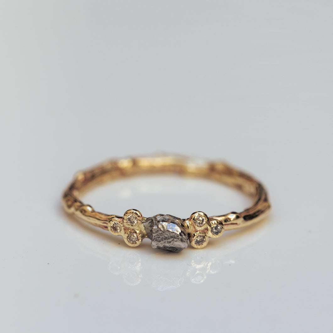 Harmonic branch ring with meteorite and diamonds