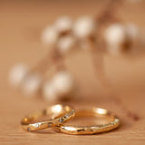 טבעת פאסטות וטבעת נקייה