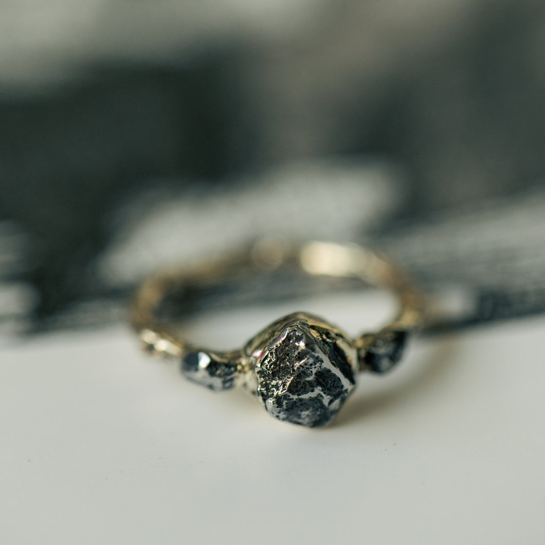 Tri- stone branch ring with meteorites