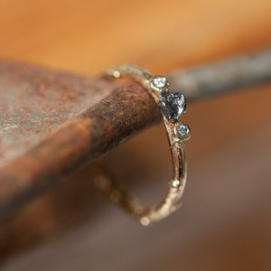 Meteorite branch & diamonds ring