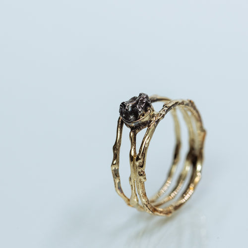 Meteorite Branches Solitaire engagement ring
