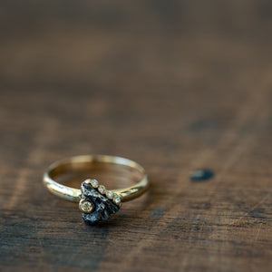 Meteorite and diamonds gold ring