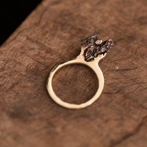 Meteorite standing ring with a diamond